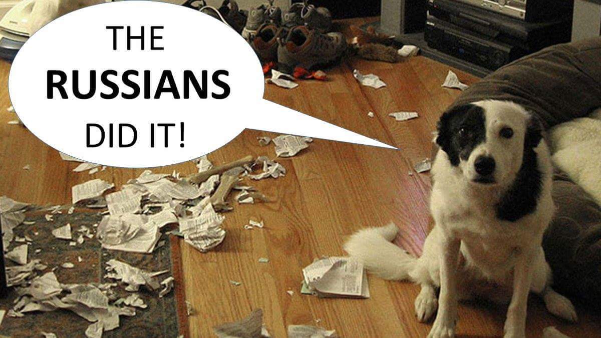 Well of course.... - Russia, Dog, Mess, Politics, Guilt