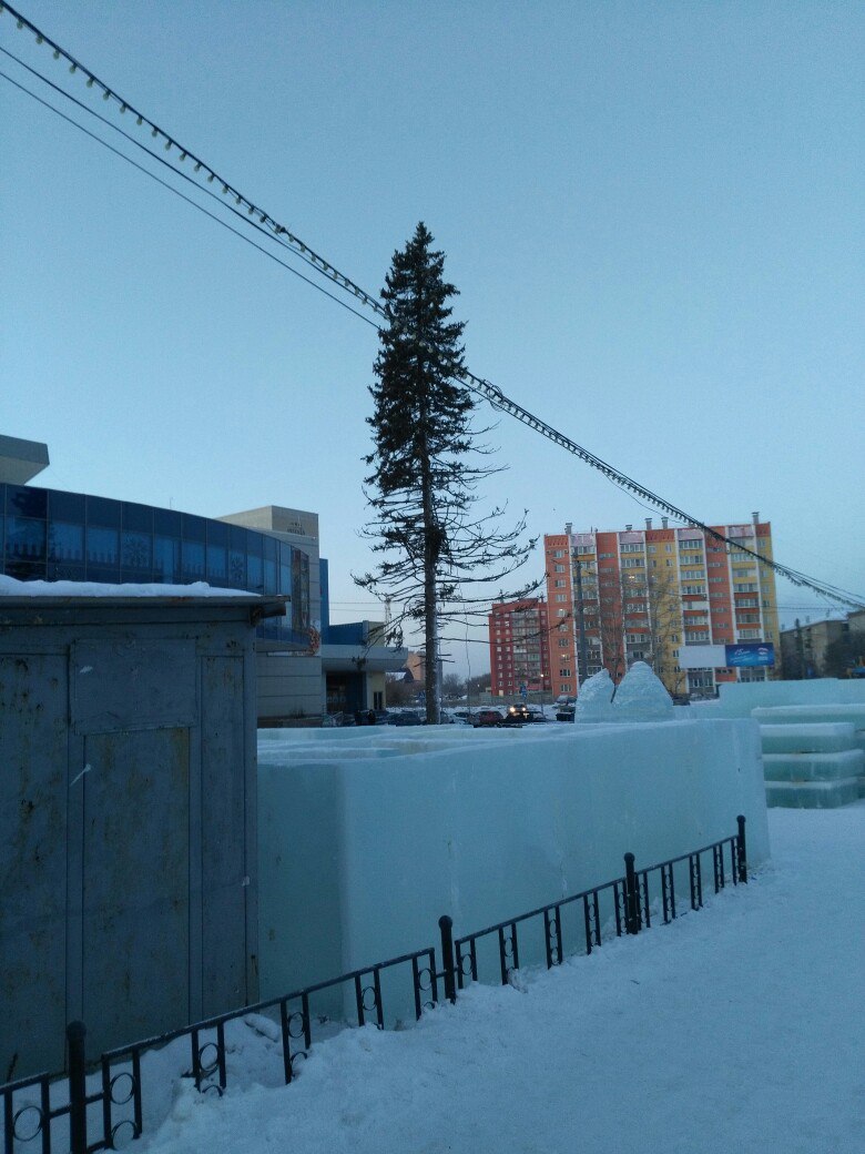 New Year is rushing towards us - My, Chelyabinsk, Kopeysk, Chelyabinsk severity, , Christmas trees, New Year, Longpost