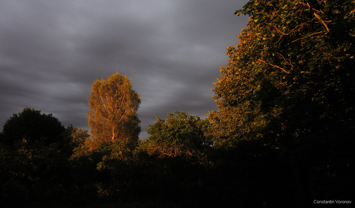 Photos from the farm 2 - My, Photo, Landscape, Nature, Sunset, Evening, Tree, Longpost