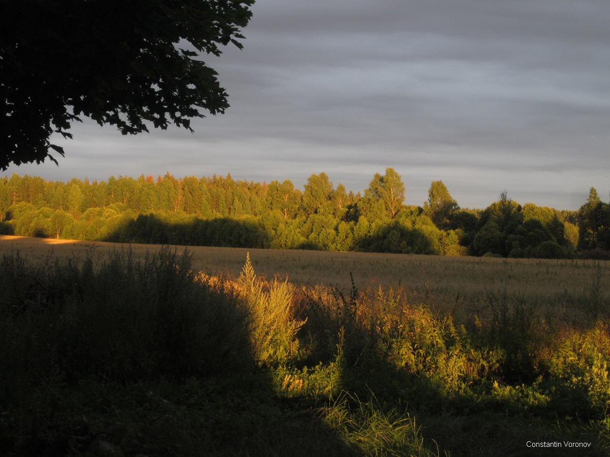 Photos from the farm 2 - My, Photo, Landscape, Nature, Sunset, Evening, Tree, Longpost