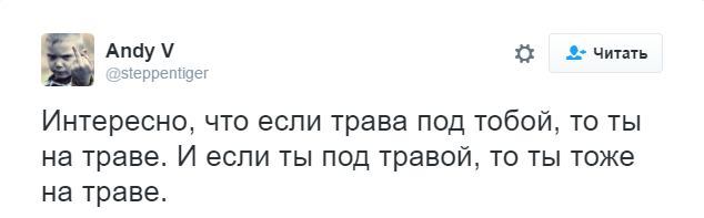 Тонкости языка - Скриншот, Twitter, Юмор