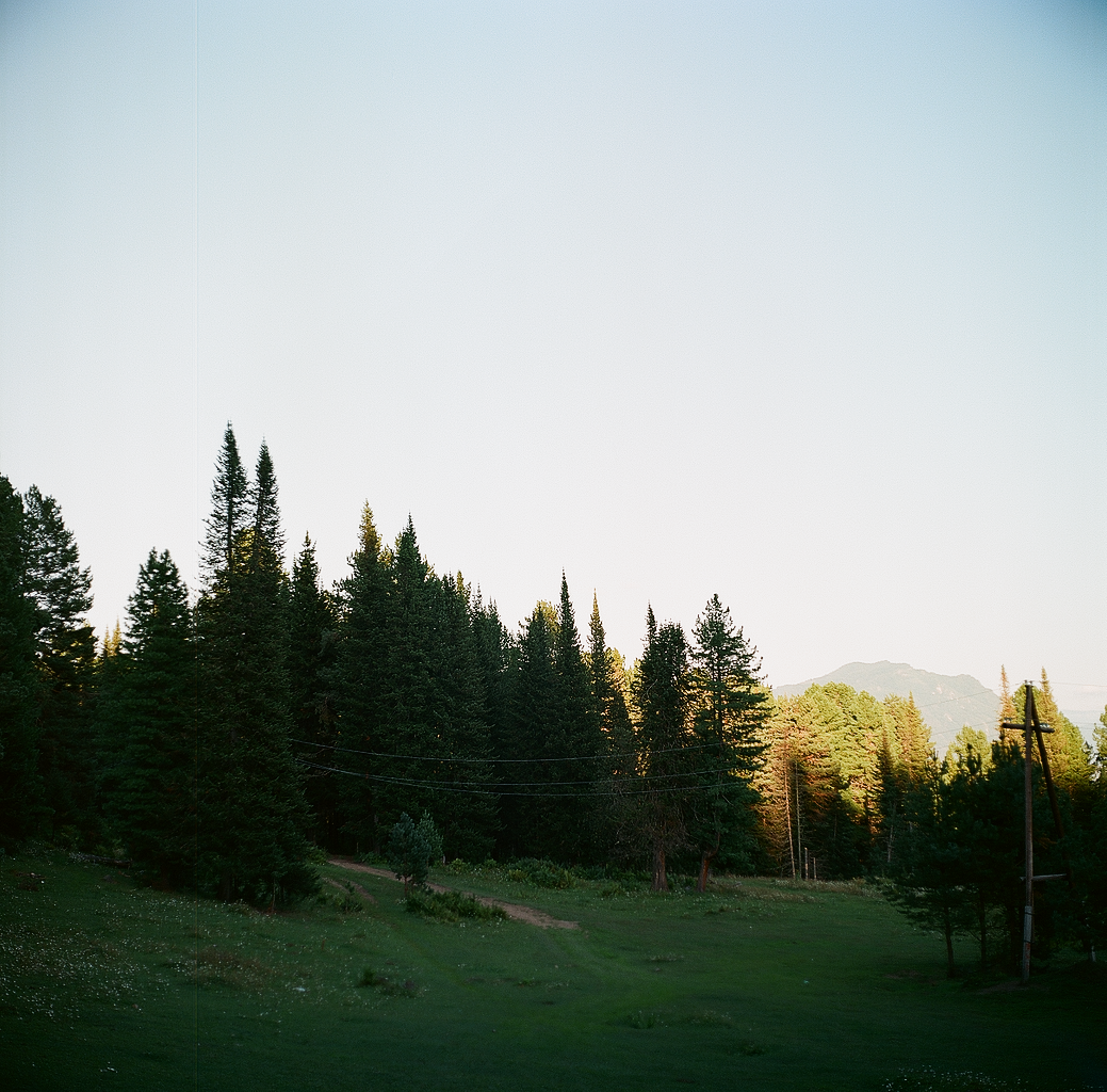 Altai, Lake Teletskoye - My, Altai, Photo, Film, Medium format, Longpost, My, Altai Republic