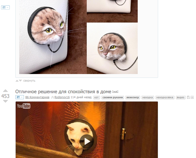 When one post follows another... - cat, Hole, Сумка, Wallow