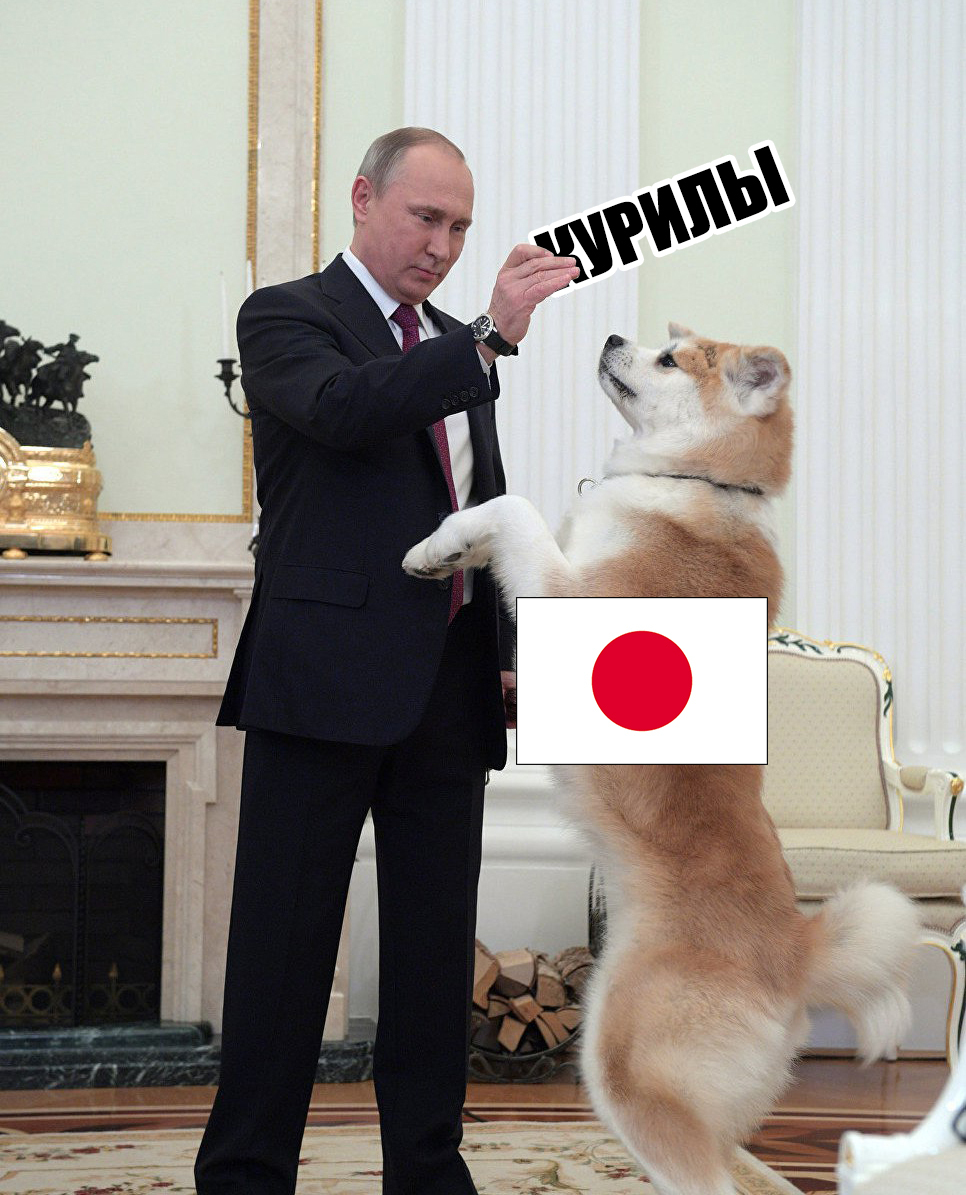 Briefly about Putin's visit to Japan yesterday - Politics, Vladimir Putin, Japan, Kurile Islands, Humor, Joke