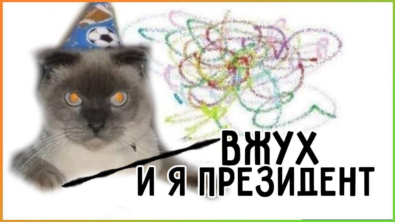 Barnaul cat Barsik intends to run for president. I went to the tray - and I'm going to the presidency! - My, cat, The president, news, Barnaul, Vzhuh