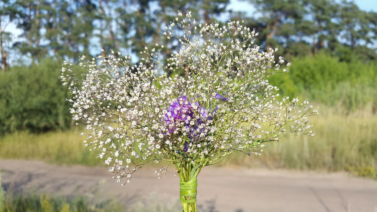 Wild camping bouquets. - My, Travels, Flowers, Bouquet, Longpost