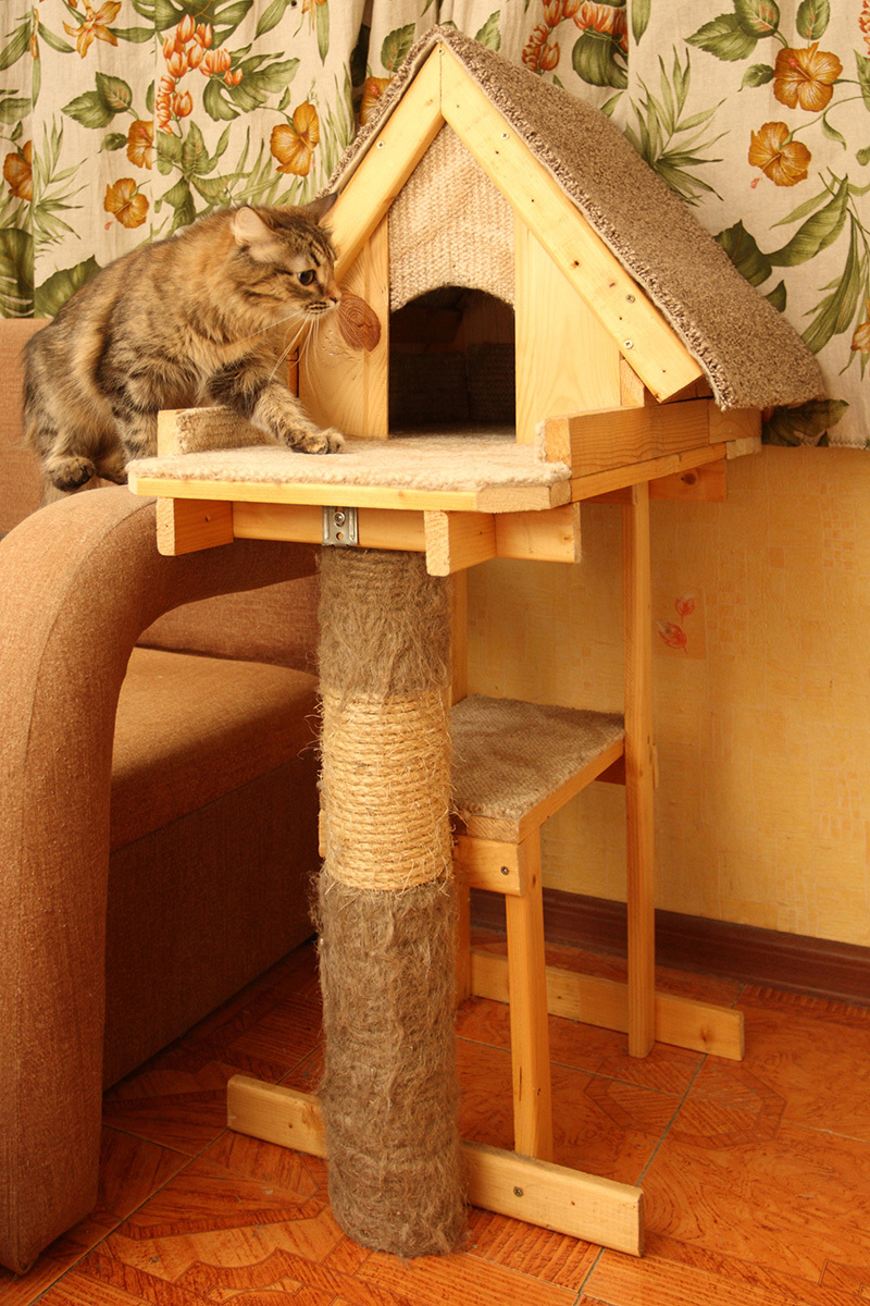 KOTODOM for 999 rubles. - My, cat, House, Longpost