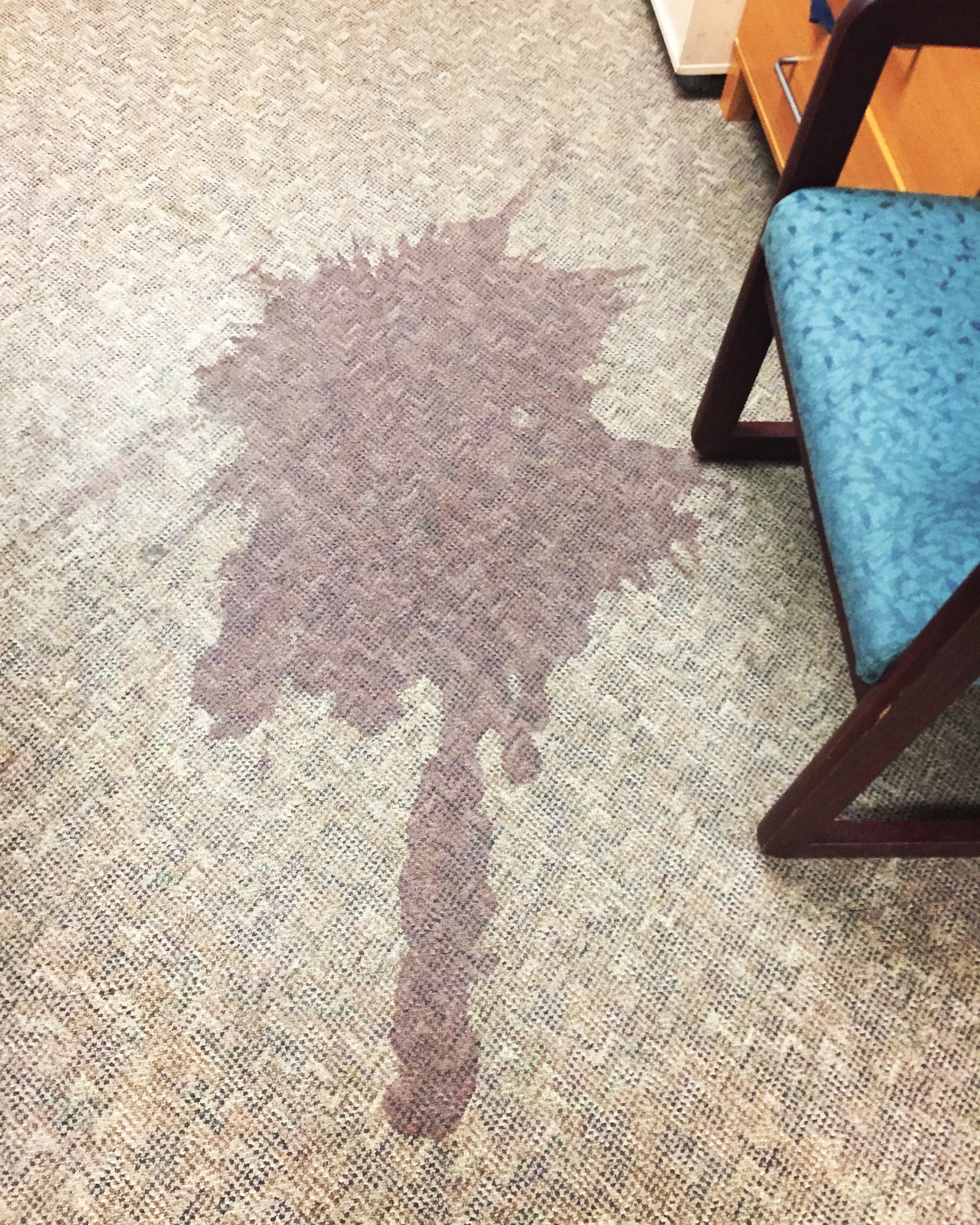 My partner spilled wine in the office yesterday - Longpost, Photo, cat, Alcohol, Wine