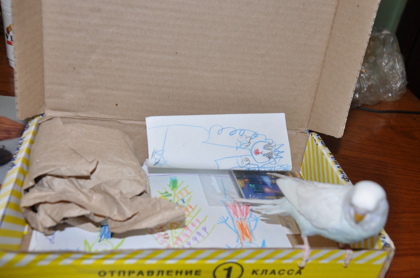 A package arrived from my Secret Santa!^^ - My, , Secret Santa, Presents, Chelyabinsk, A parrot, Longpost