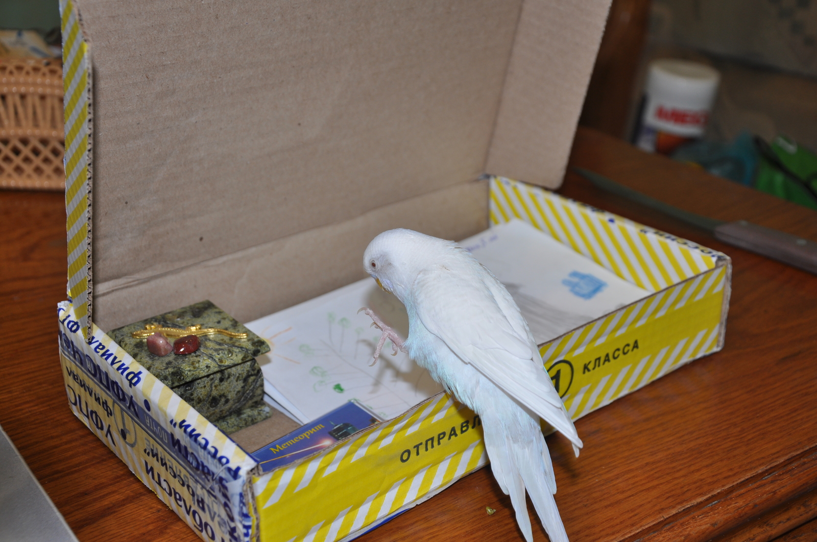 A package arrived from my Secret Santa!^^ - My, , Secret Santa, Presents, Chelyabinsk, A parrot, Longpost