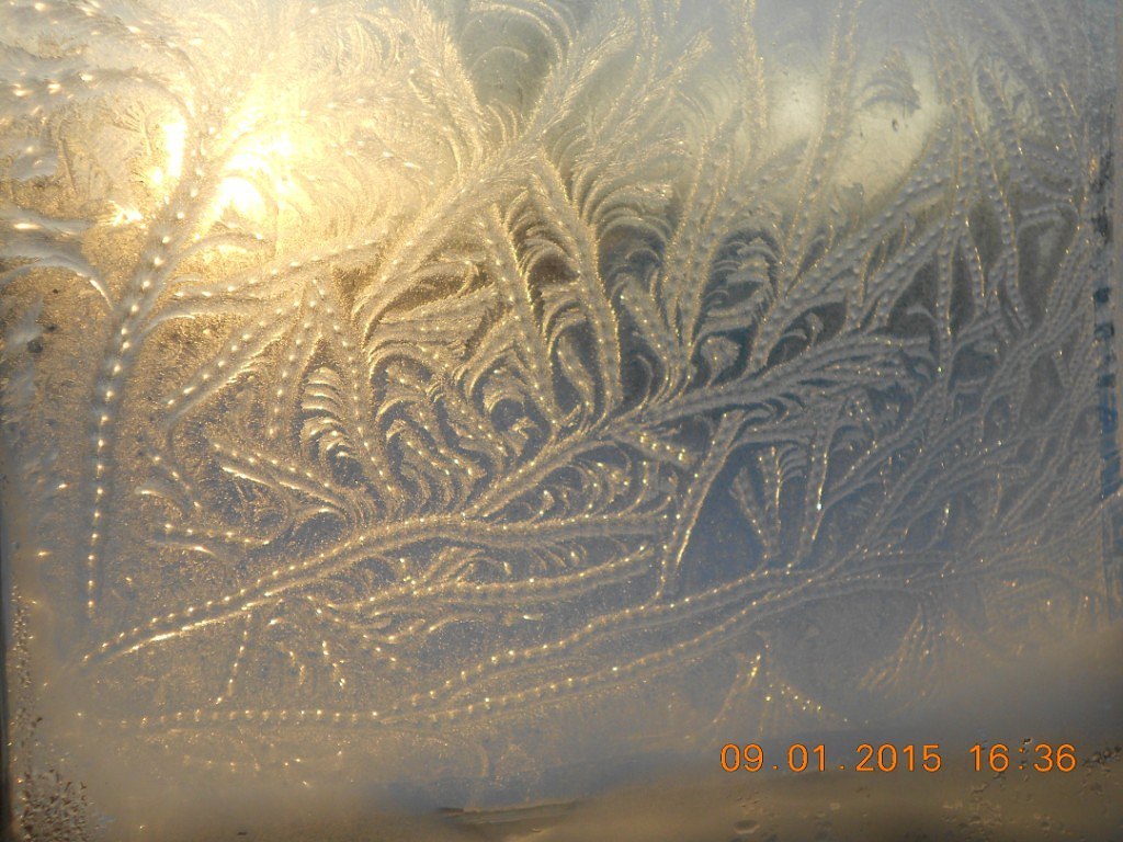 Frost draws) - freezing, Artist, Photo, Drawing