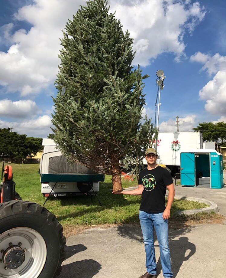 Henry Cavill (Superman) bought a Christmas tree. - Henry Cavill, Superman, , 