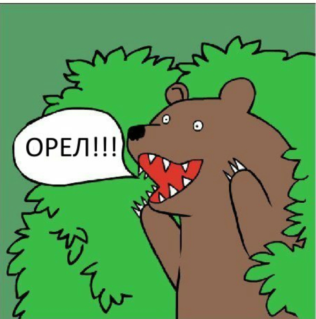 Cafe in Kabardino-Balkaria - My, Cafe, Memes, The Bears, Longpost