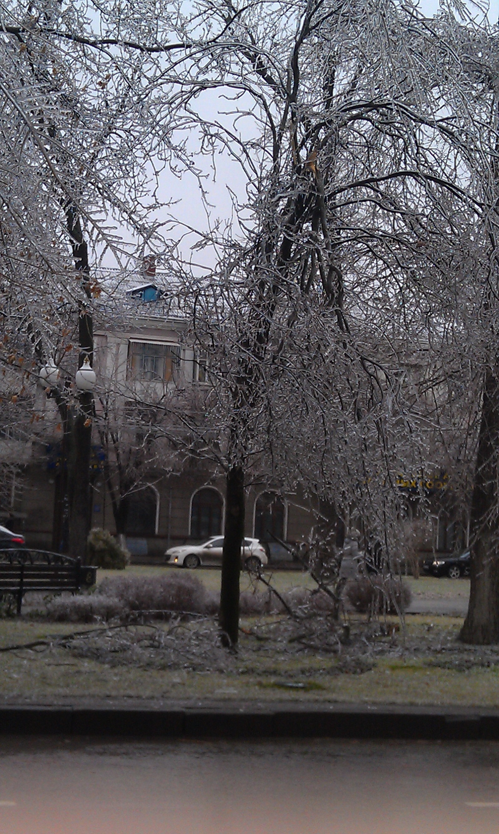 Which one of us has the best freezing rain? - My, Longpost, Icy, Rain, Photo