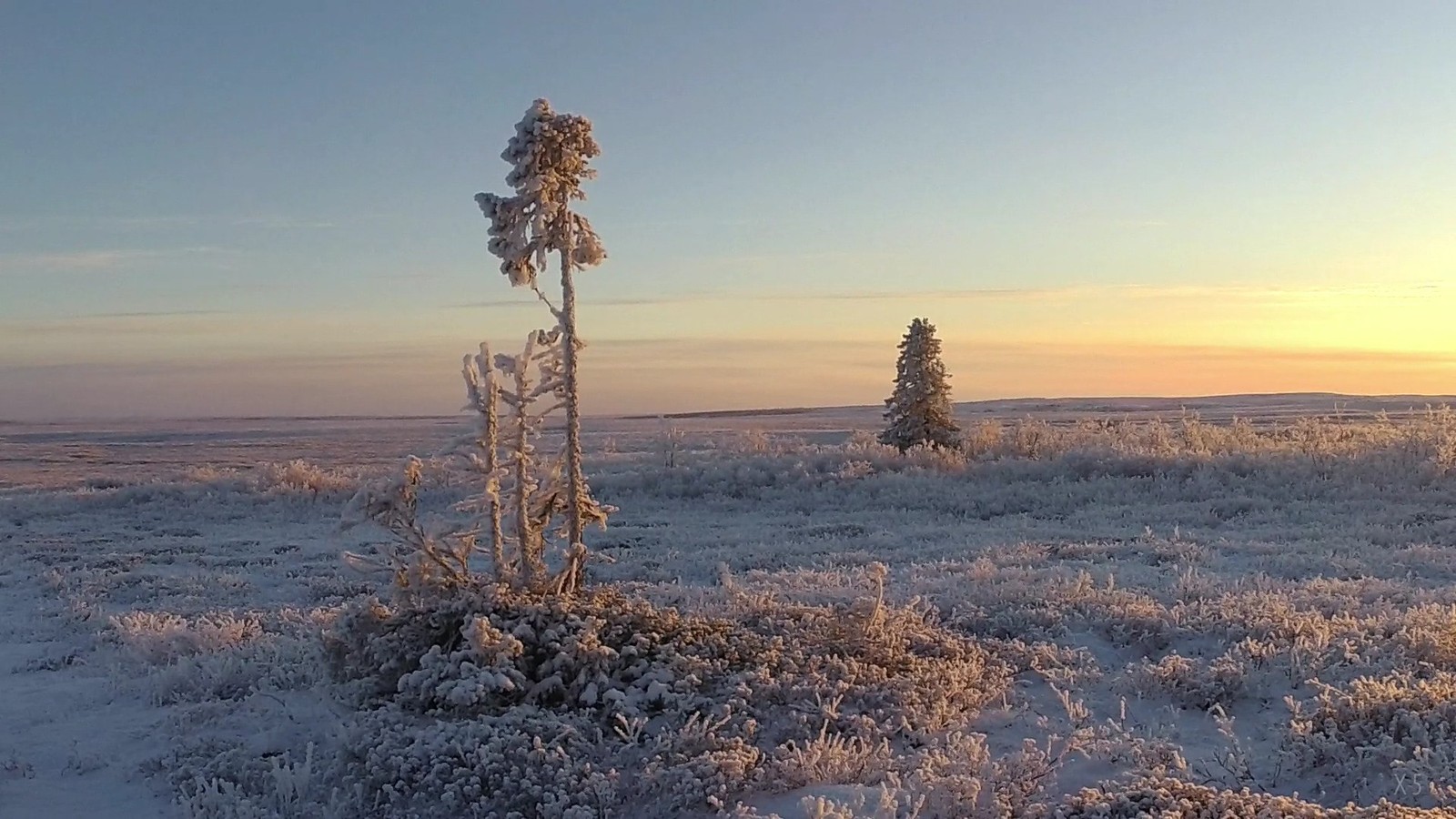 Change of seasons autumn-winter in this frosty year in the polar tundra. - My, Autumn, Winter, Nature, Tundra, freezing, Travels, Landscape, Longpost