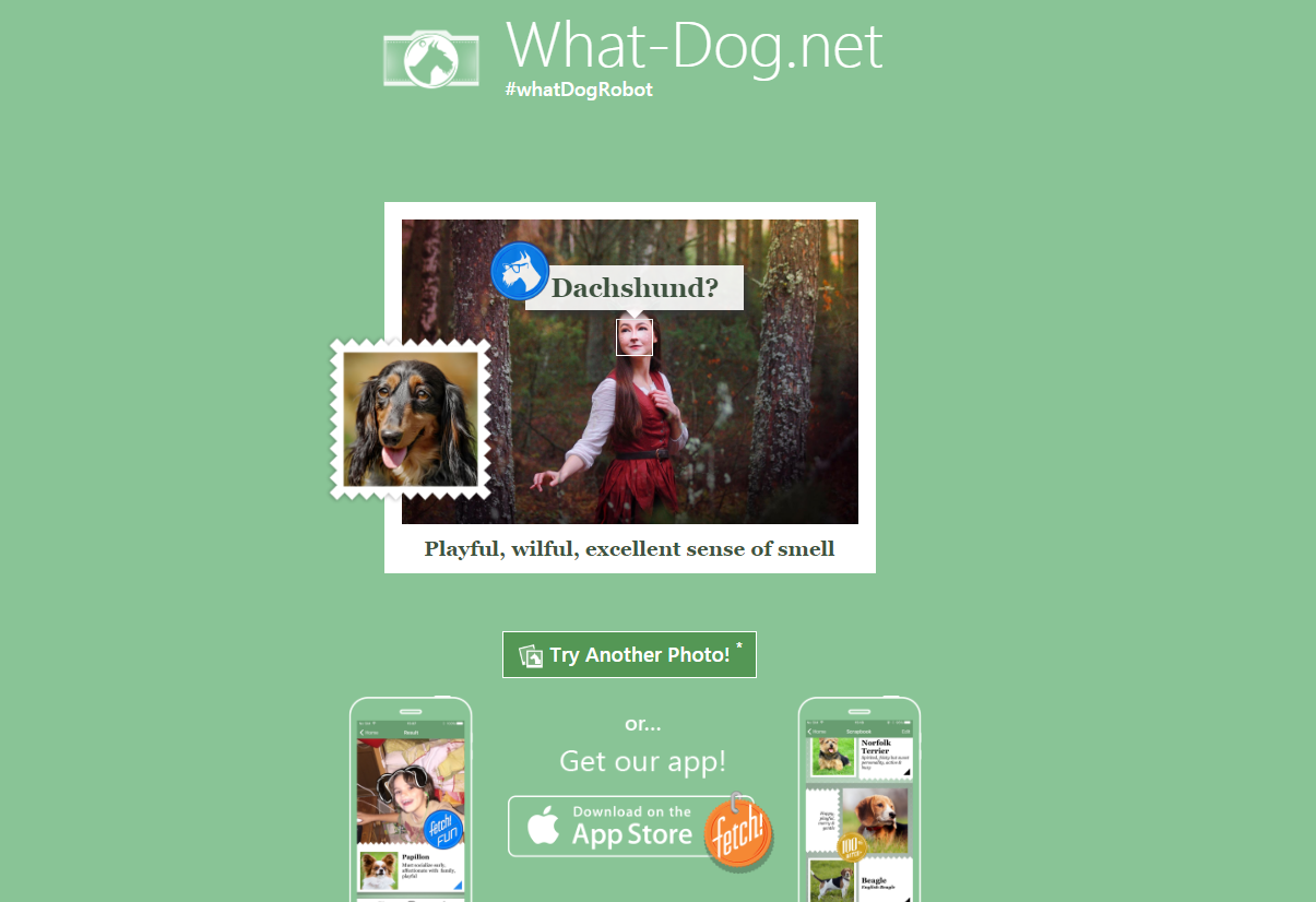 Dog Breed Website Says I'm a Dachshund - My, Humor, People, Animals, Longpost