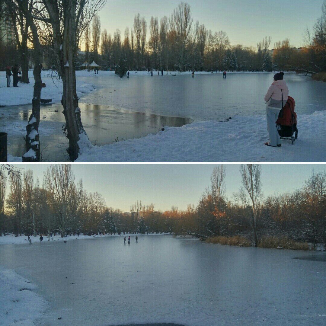 Зима в Крыму 19.12.2016 - Зима, Снег, Цветы, Горы, Крым, Длиннопост