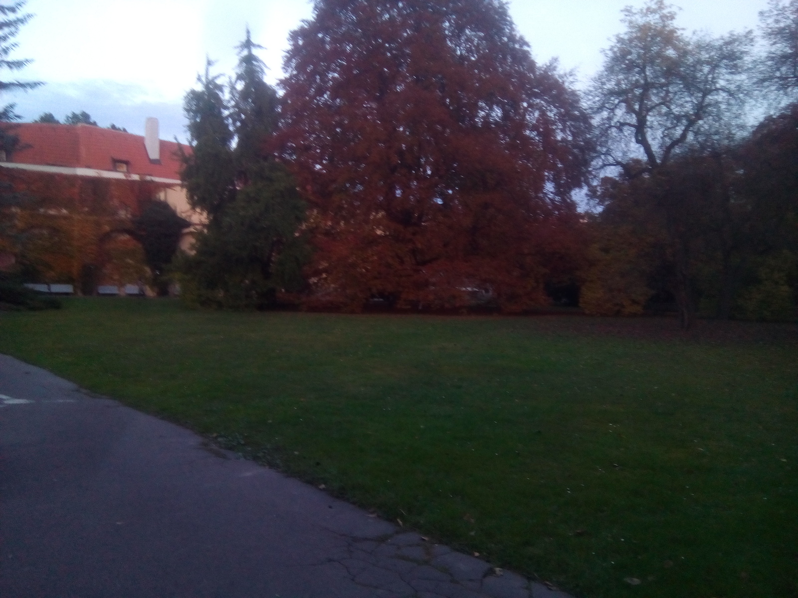 Nice find. - My, Photo, Beautiful view, Prague, Longpost