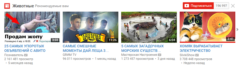 Рекомендации YouTube - Моё, YouTube, Рекомендации, Животные