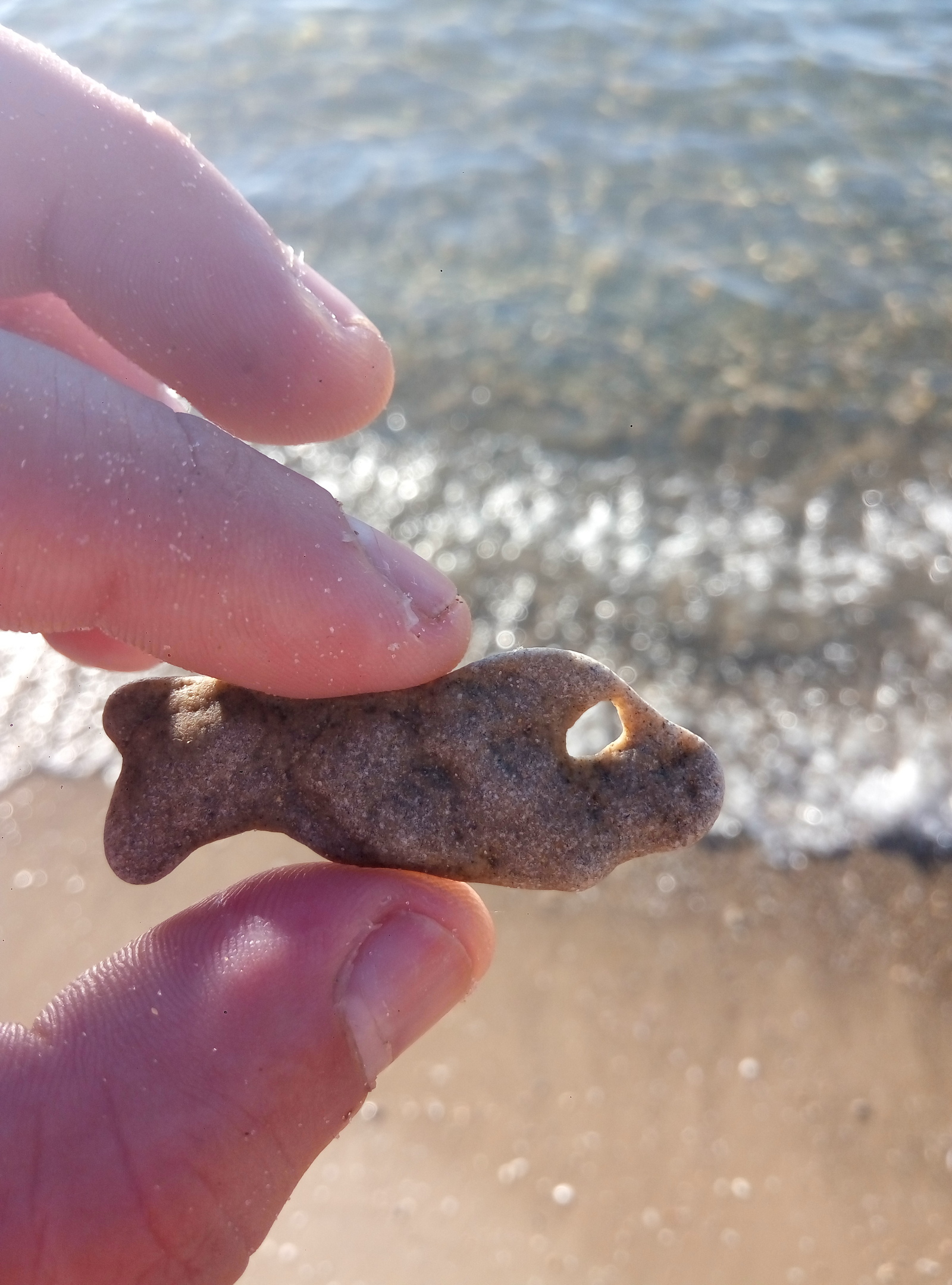 A stone in the shape of a fish, found at sea in the summer. - My, Summer, A rock, Sea