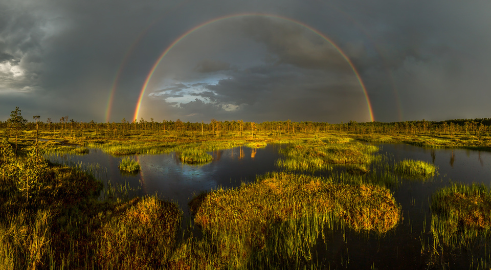 Rainbow - Радуга, Фото