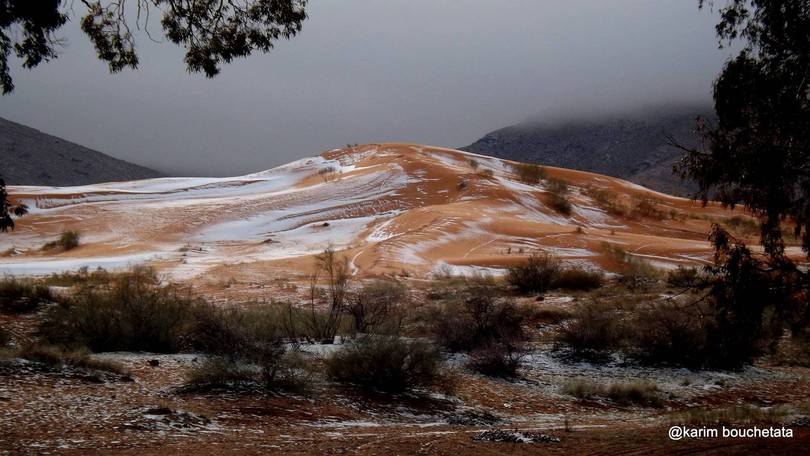 Snow fell in the Sahara Desert - Sahara, Snow, Longpost, Photo, Text