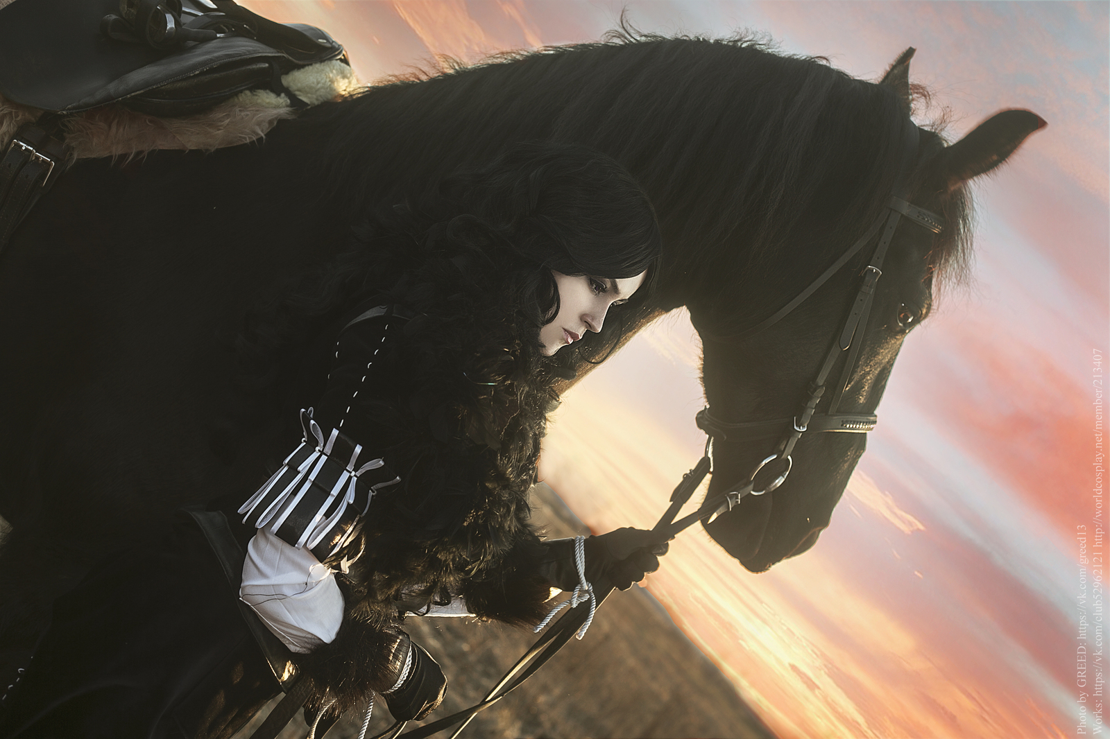 Black-haired beast Yennefer - My, Yennefer, Cosplay, The Witcher 3: Wild Hunt, Witcher, Gamers, Horses, Longpost