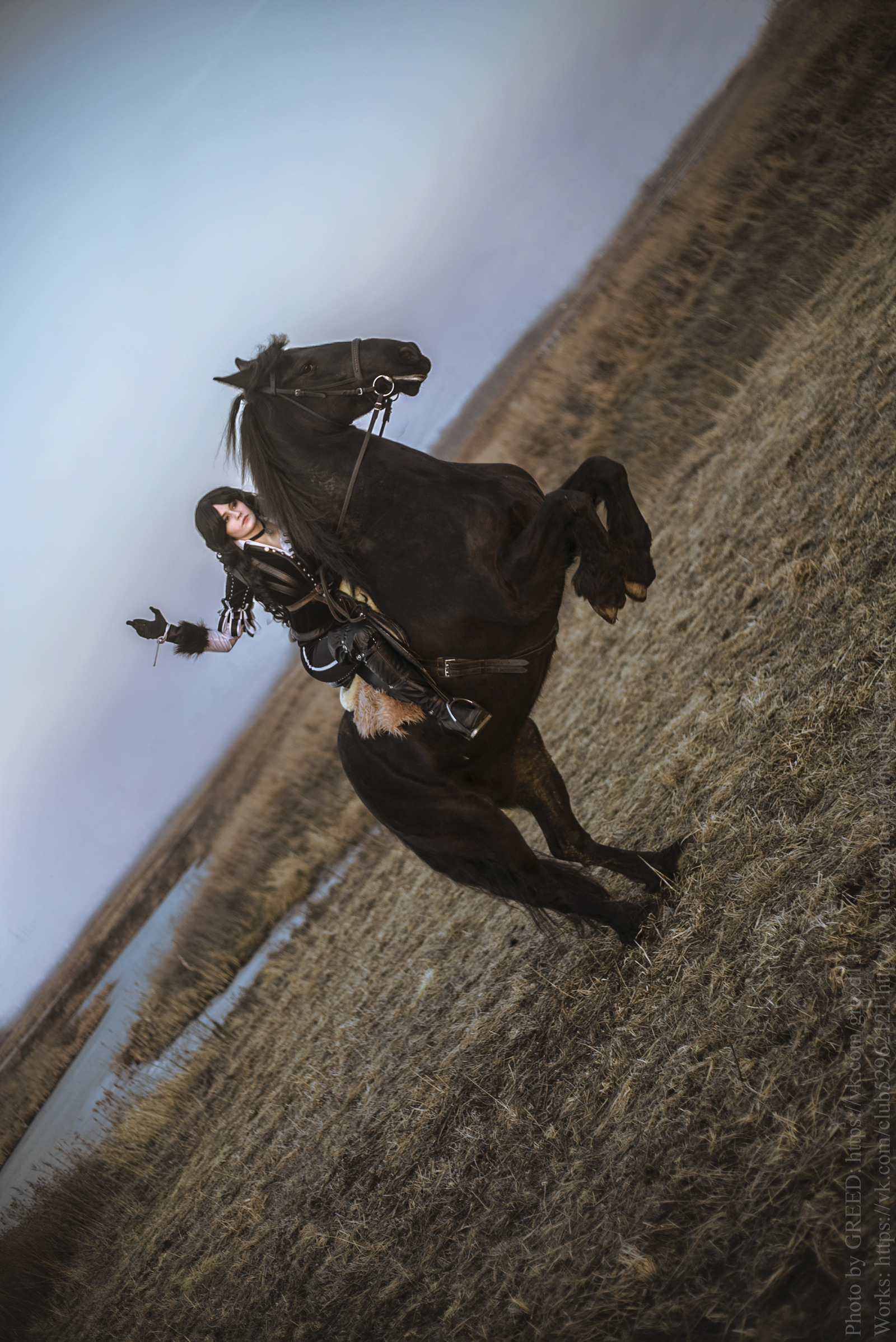 Black-haired beast Yennefer - My, Yennefer, Cosplay, The Witcher 3: Wild Hunt, Witcher, Gamers, Horses, Longpost