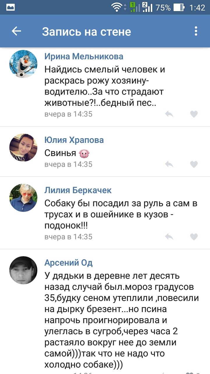 Человек спас собаку от смерти - человека облили грязью. Человек странный предмет. - Собака, Спасение, ВКонтакте, Скриншот, Человек странный предмет, Оскорбление, Новосибирск, Аст54, Длиннопост