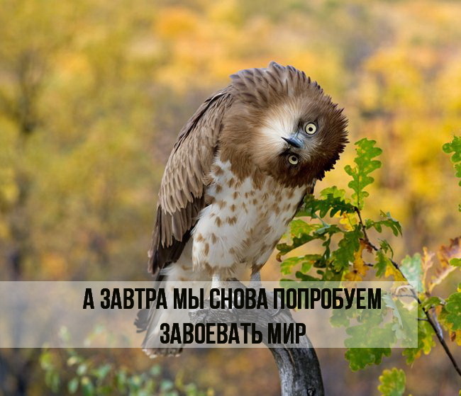 Как мы автосервис открываем. - Моё, Авто, Автосервис, Санкт-Петербург, S3traser, Длиннопост