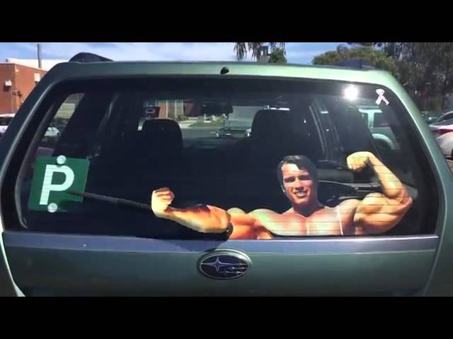 Iron Arnie and his toys! - , Star, , Arnold Schwarzenegger, Longpost