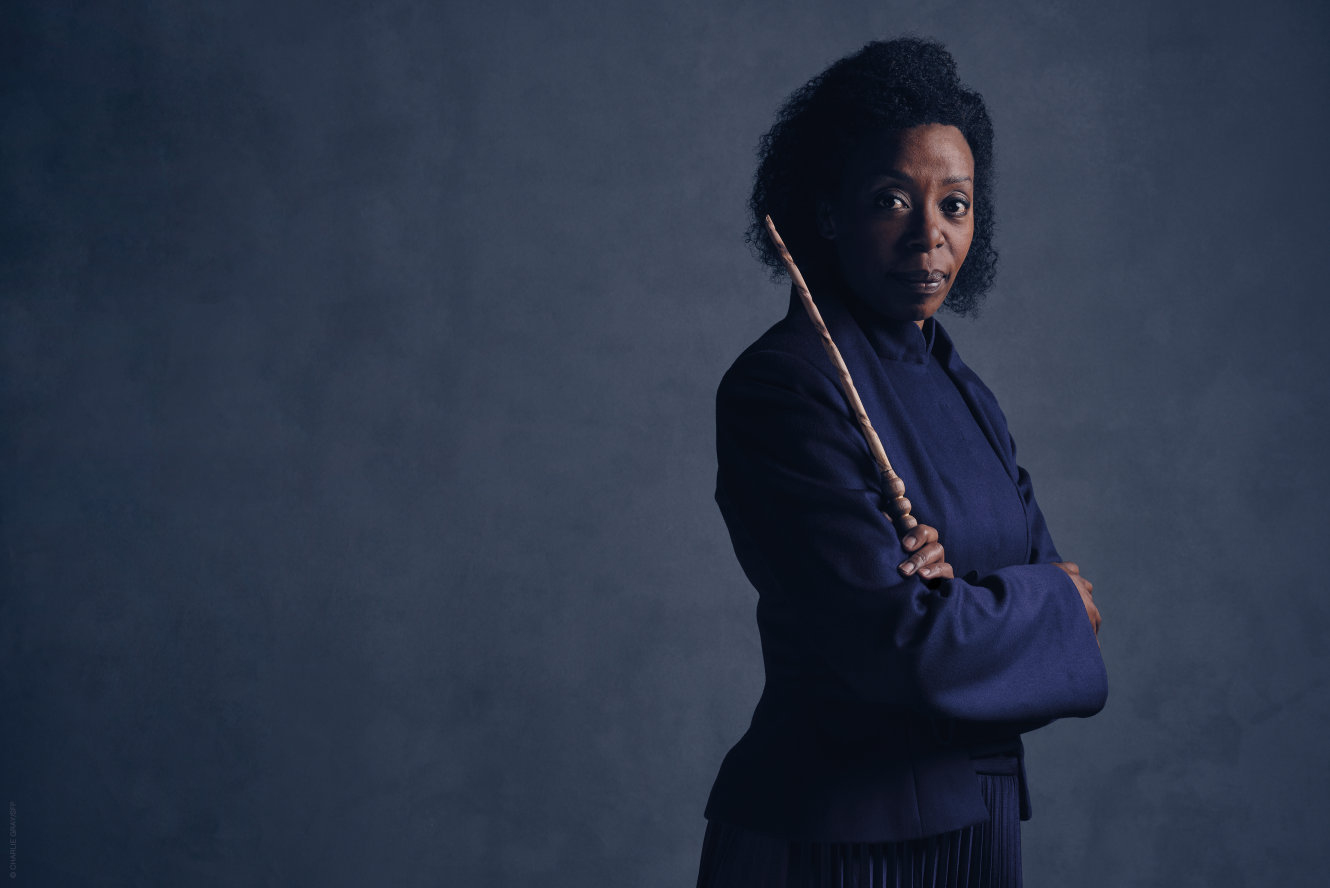 'Harry Potter and the Cursed Child': It's Not Even Toilet Fiction - My, Interesting, Joanne Rowling, Potter addicts, GIF, Books, Longpost