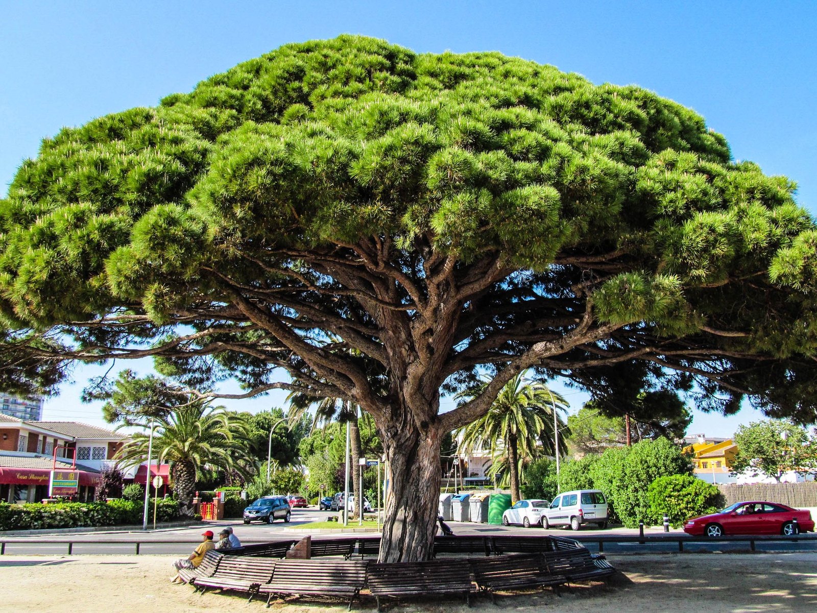 My great Spanish trip: Cambrils - the city of eternal siesta. - My, Spain, , , Travels, Tourism, Sea, Longpost