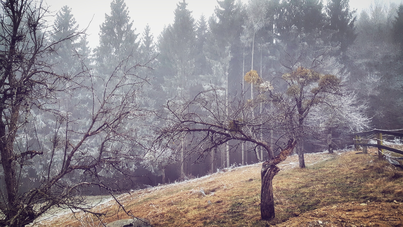 Styria, Austria - My, Fog, Photo, Alps, Austria, The mountains, Nature, Longpost