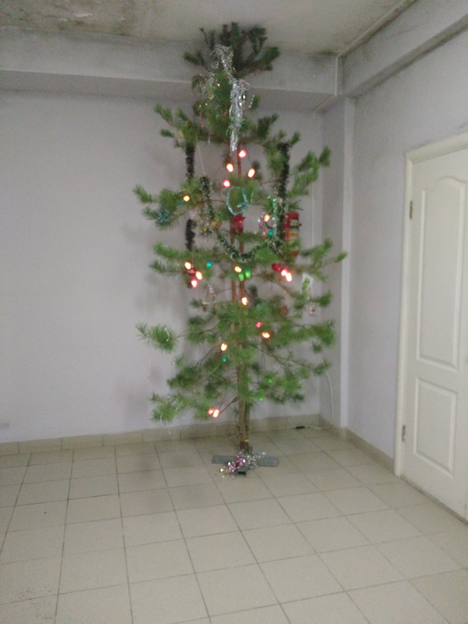 Christmas tree. - Christmas trees, New Year, Work