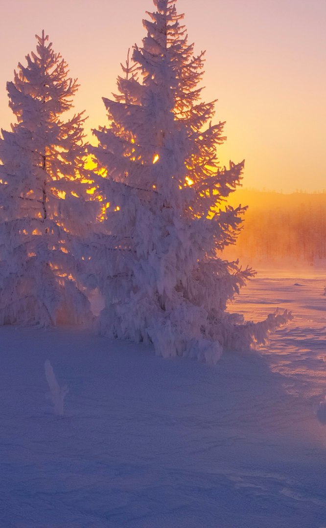 On the hills of Yakutia - Yakutia, Photo, Winter, Forest, Longpost