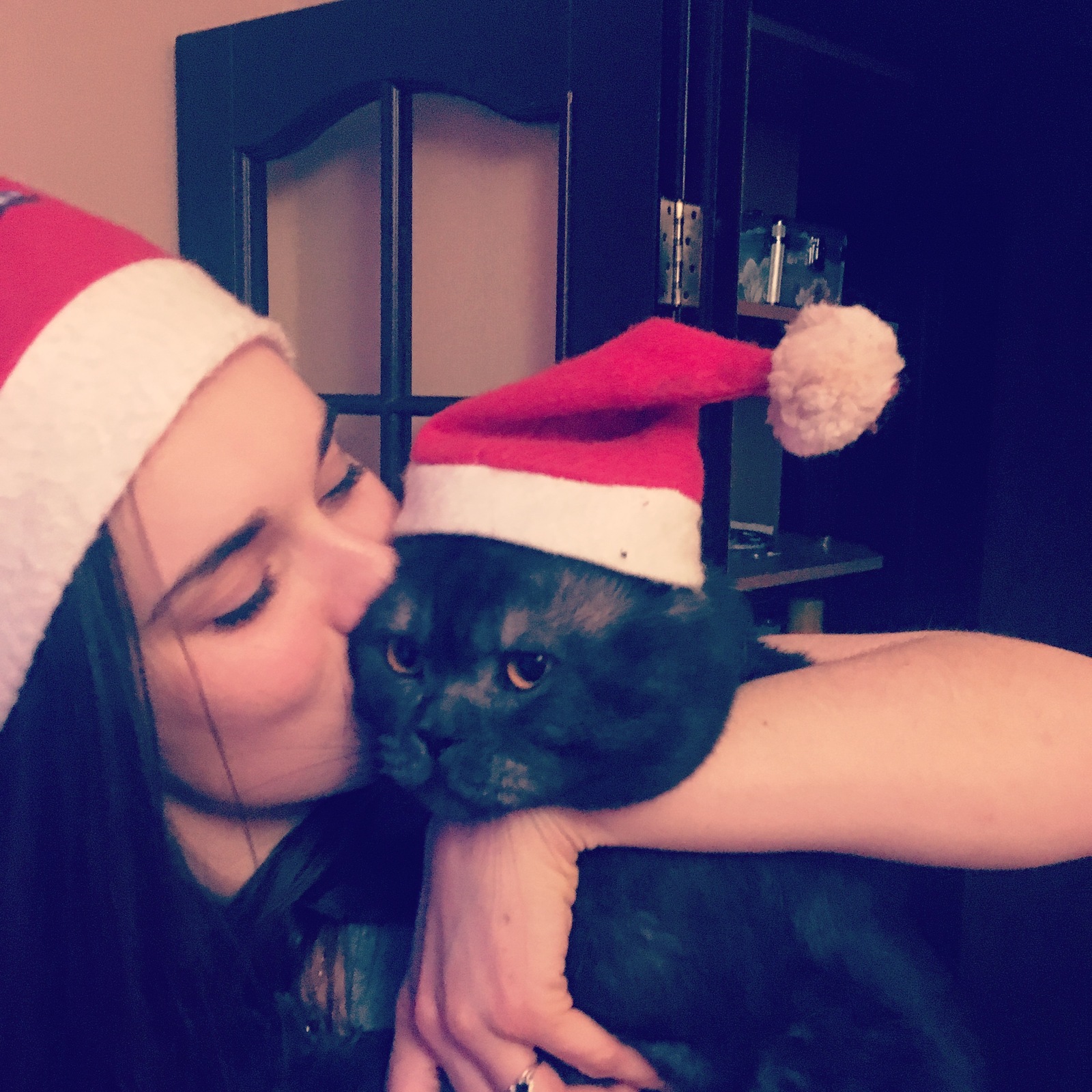 Christmas mood - My, cat, New Year, Cap