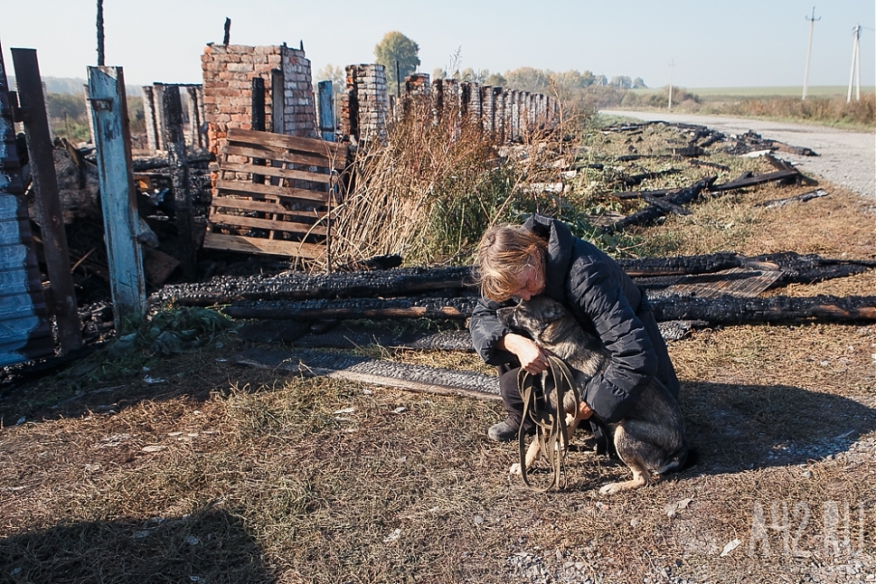 Ludmila, thank you! - My, Kemerovo, Animals, Woman of the Year, Loyal, Longpost, Loyalty