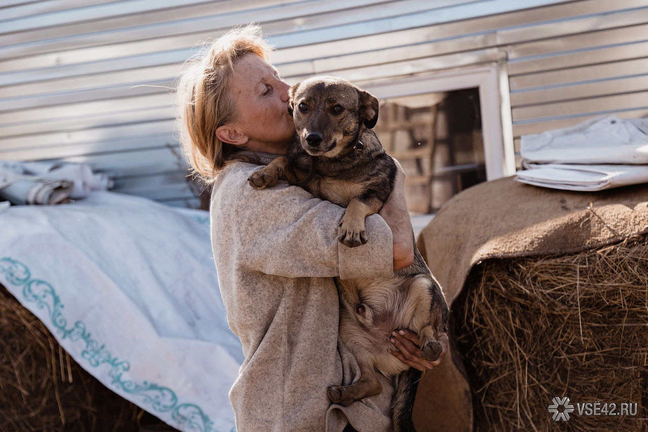 Ludmila, thank you! - My, Kemerovo, Animals, Woman of the Year, Loyal, Longpost, Loyalty