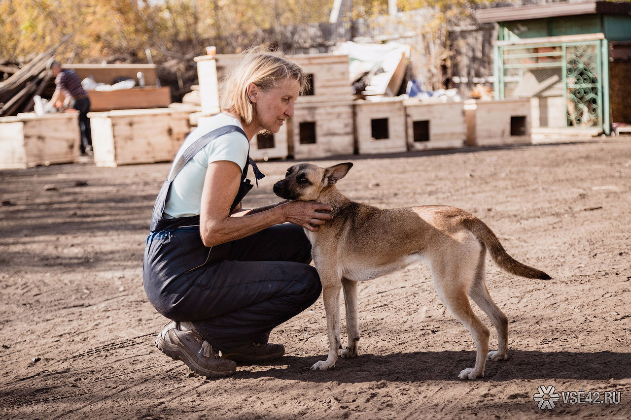 Ludmila, thank you! - My, Kemerovo, Animals, Woman of the Year, Loyal, Longpost, Loyalty