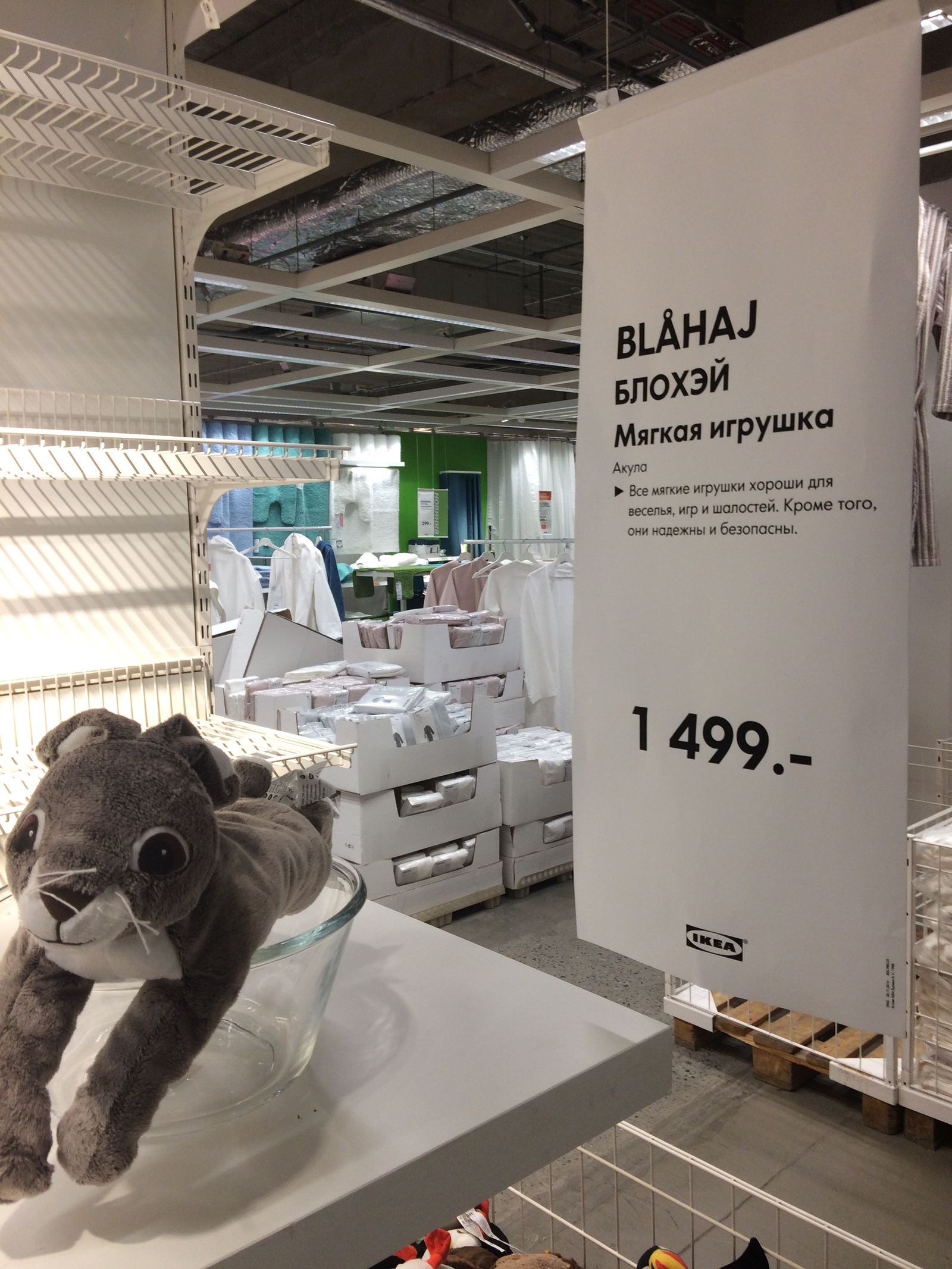 Buy a flea friend - My, IKEA, cat