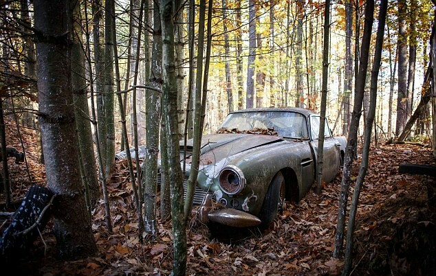 A rusty Aston Martin that has stood in the woods for 40 years is being sold for $400,000. - Auto, Retro, Find, Longpost