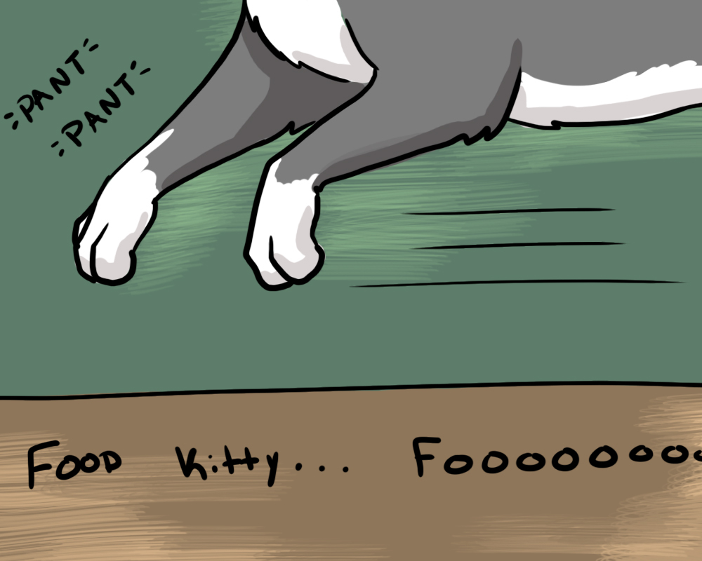 Kuuuuuuuuuuuuuuuuuuuuuuuuuuuuuuuuuuuuuuuu! - Comics, GIF, cat, Longpost, GIF with background