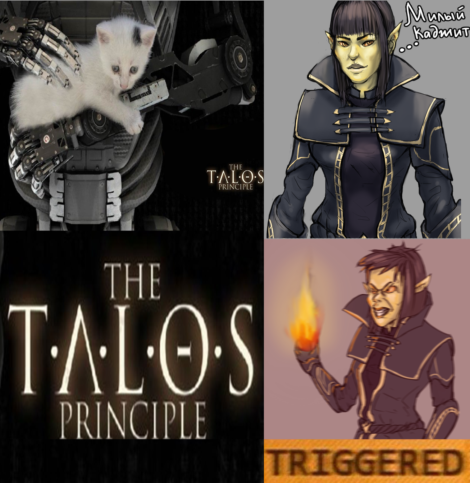 Made a meme with my character - My, Skyrim, , The elder scrolls, Triggered, Memes, Drawing, The Talos Principle, Elves, The Elder Scrolls V: Skyrim