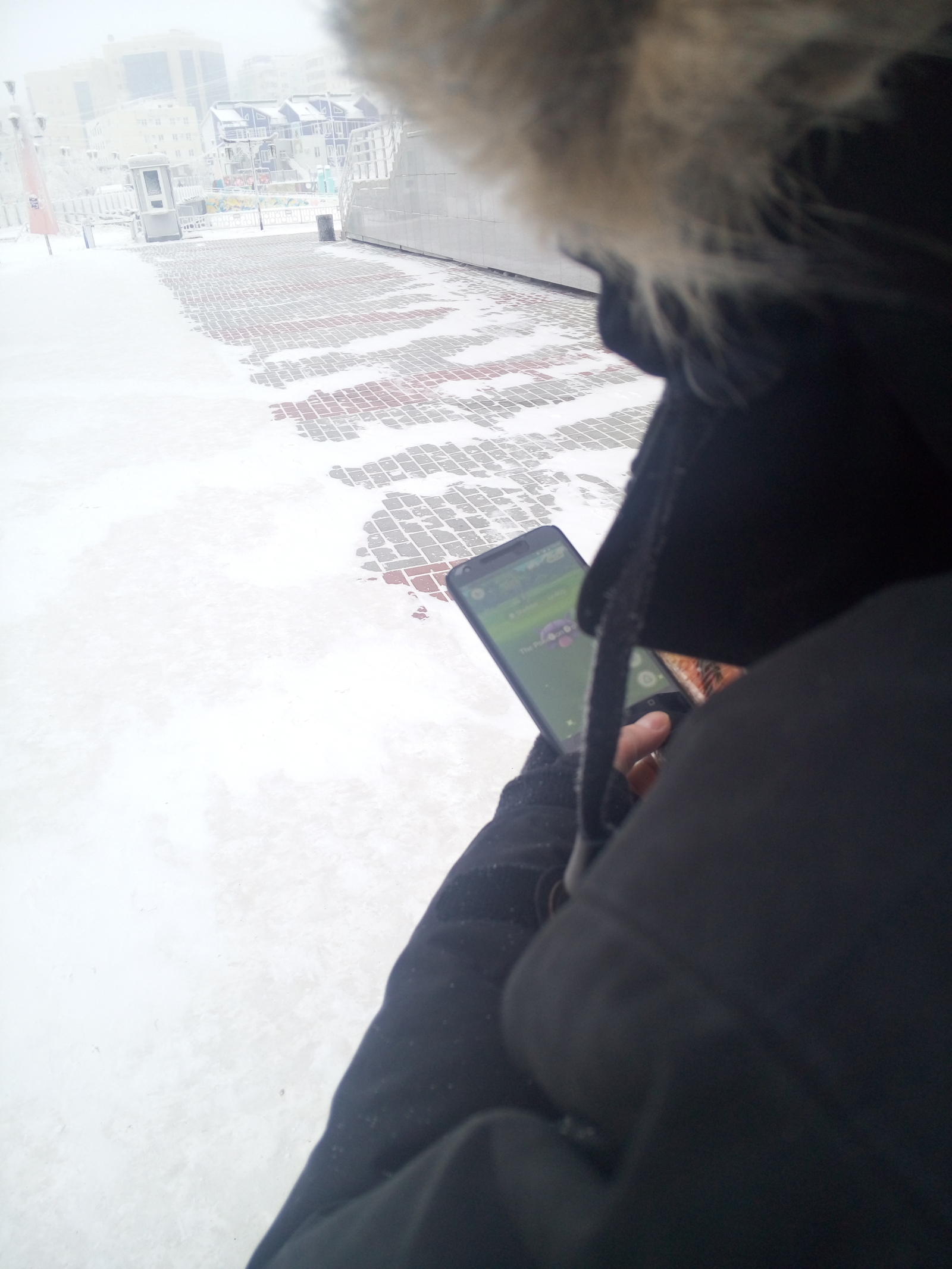 Nothing out of the ordinary... Just a friend playing Pokemon GO in -40C - My, Pokemon, Yakutsk, Why not?, Pokemon GO