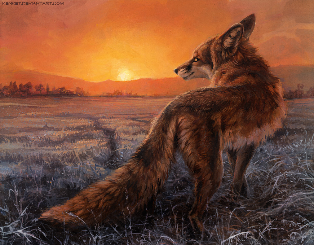 Art by kenket. Foxes. [deviant art] - Deviantart, Art, Fox, Animals, Longpost, A selection, Kenket