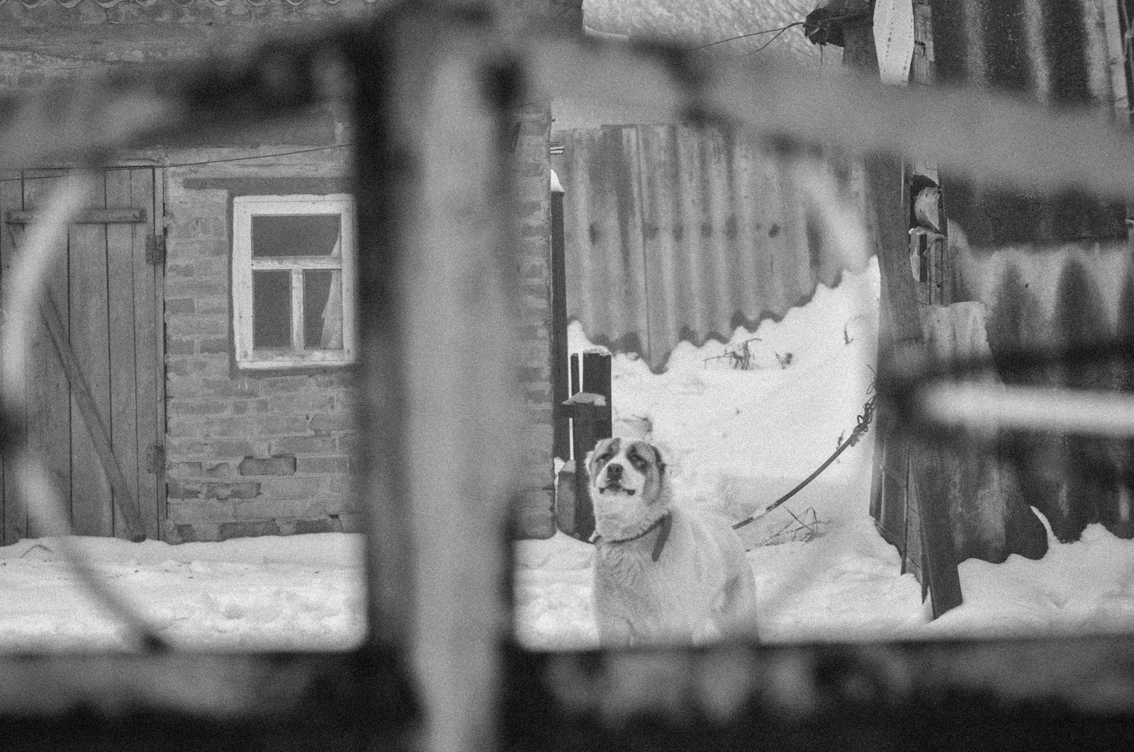 Деревня,глушь,душа - Фото, Фотография, Черно-белое фото, Деревня, Глушь, Пленка, Атмосфера, Зима, Длиннопост