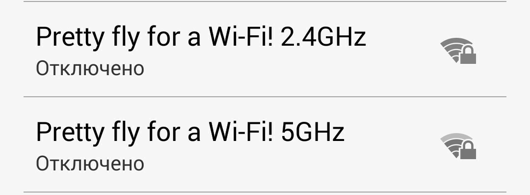 When you want to make your network stand out from others - My, The offspring, Rock, Wi-Fi, Name, Net, Internet