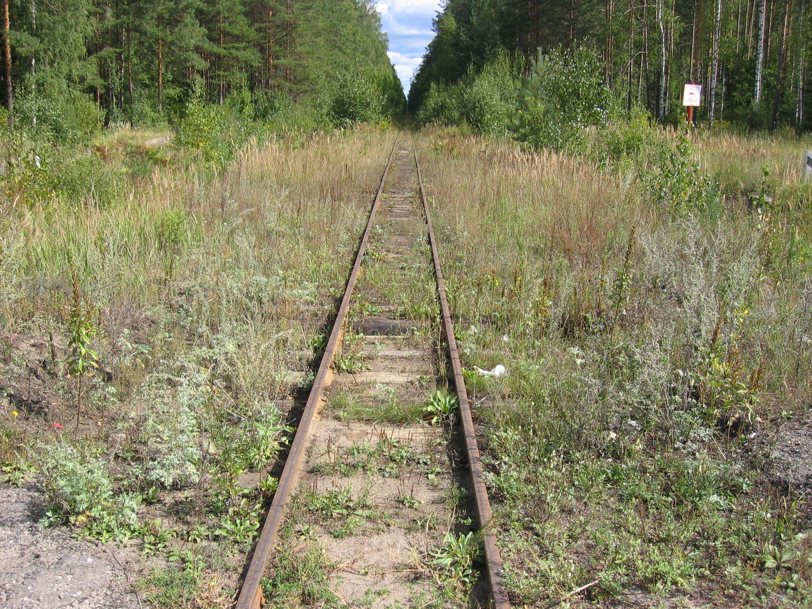 How I was not divorced and unexpected details from the photo. - My, Pioneers, Narrow gauge, Motor locomotive, Childhood, Village, Longpost