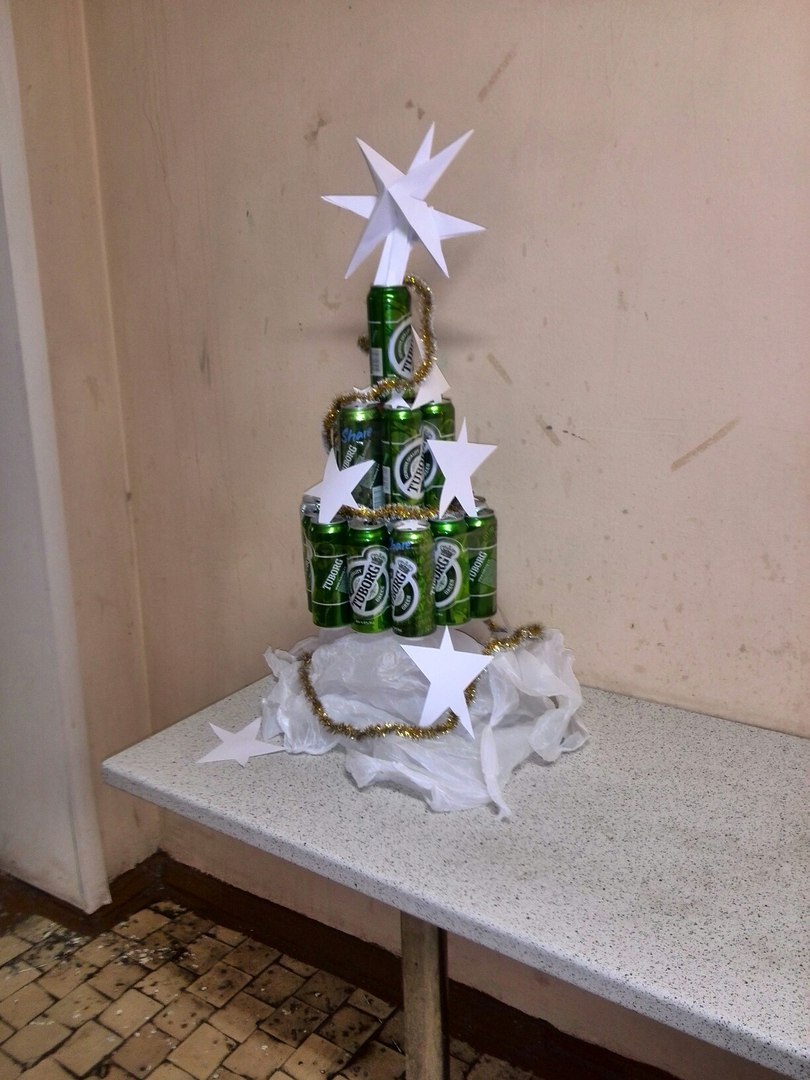 student tree - My, Christmas trees, Dormitory, Students, New Year, Longpost